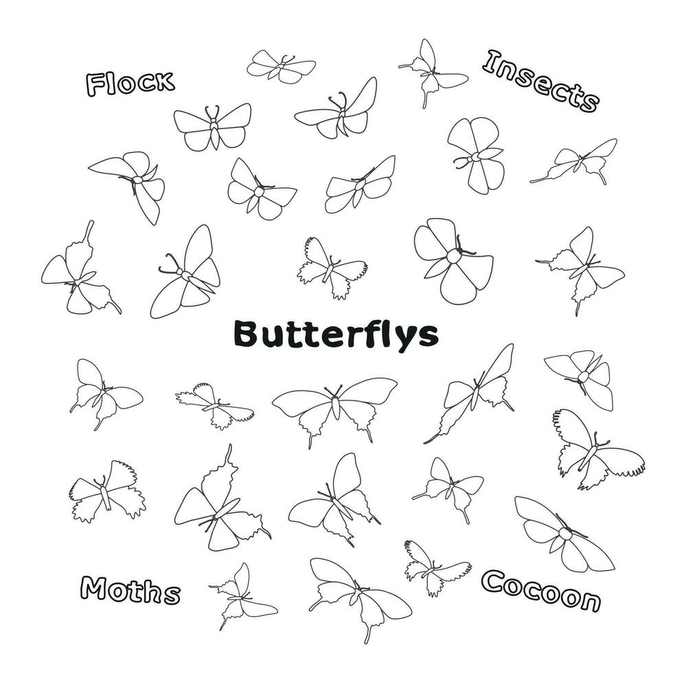 Sketch image of butterfly. Doodle swarm flock of insects vector