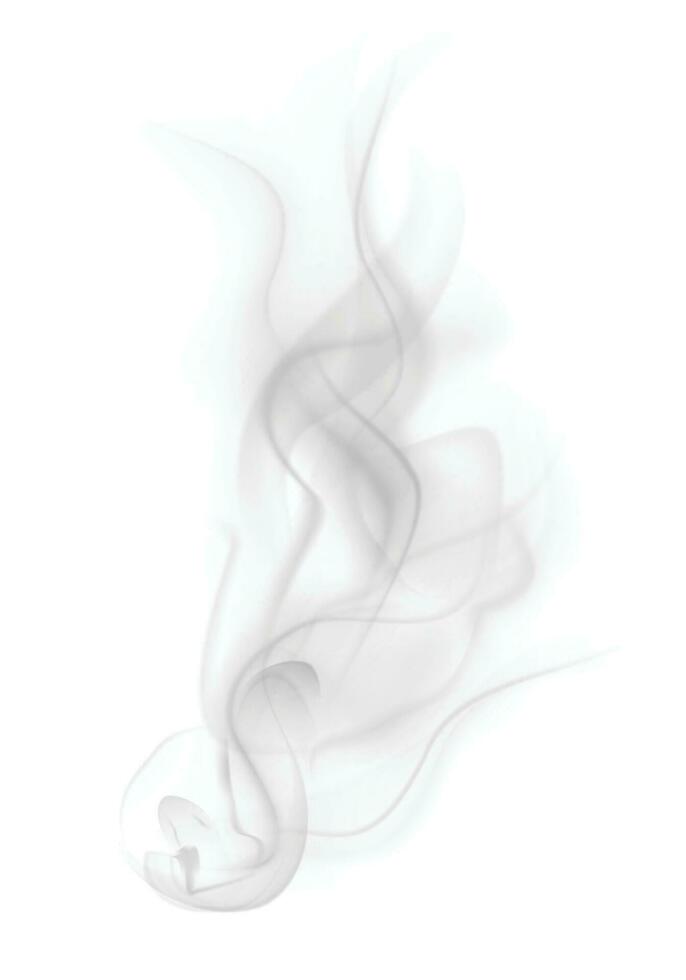 smoke on white background vector