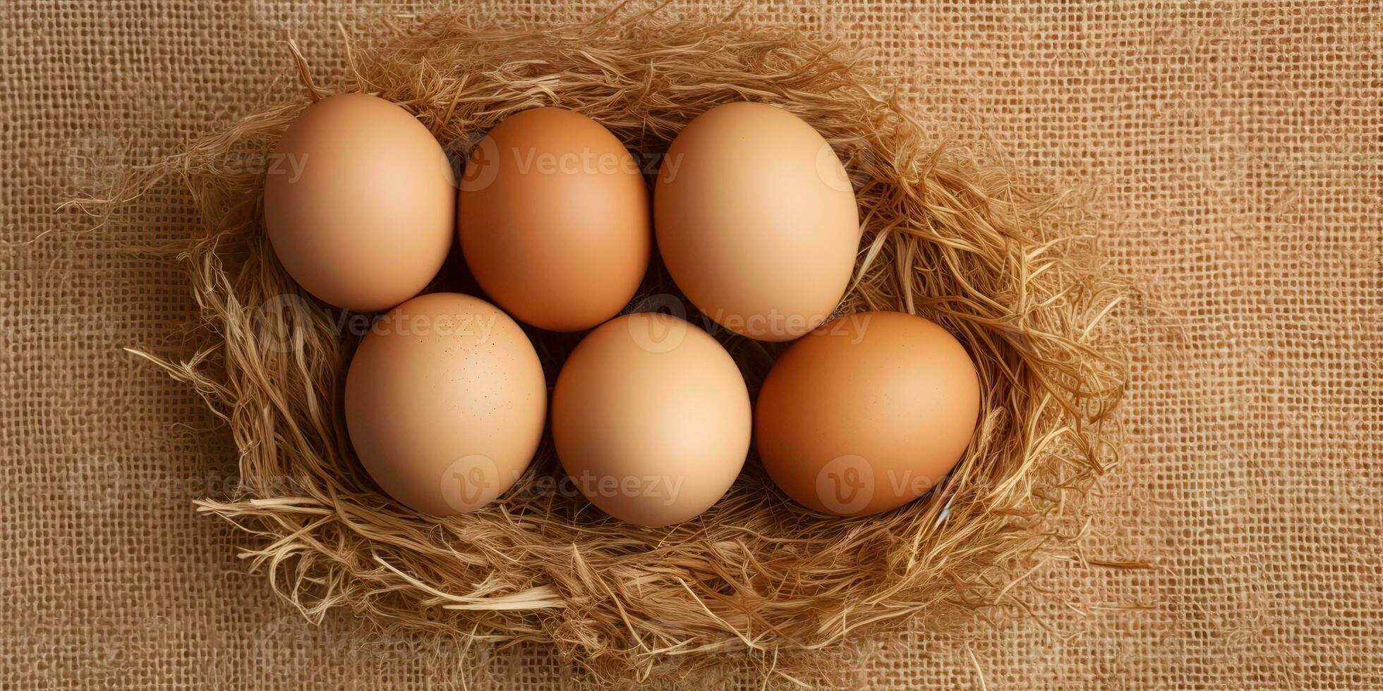 AI Generated. AI Generative. Eco organic chicken hen eggs template background mock up. Graphic Art photo