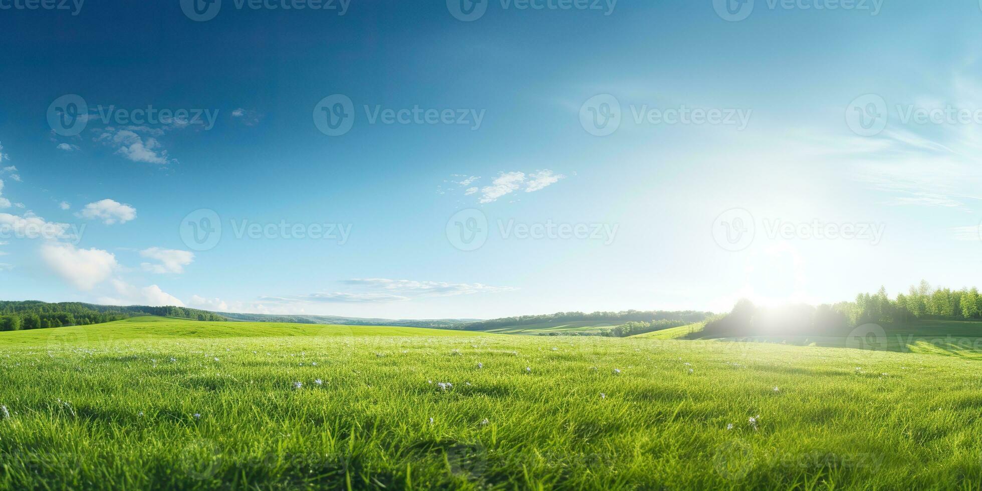 AI Generated. AI Generative. Green fresh grass field meadow with blue sky horizon background. Mock up inspirational wild outdoor nature. Graphic Art photo