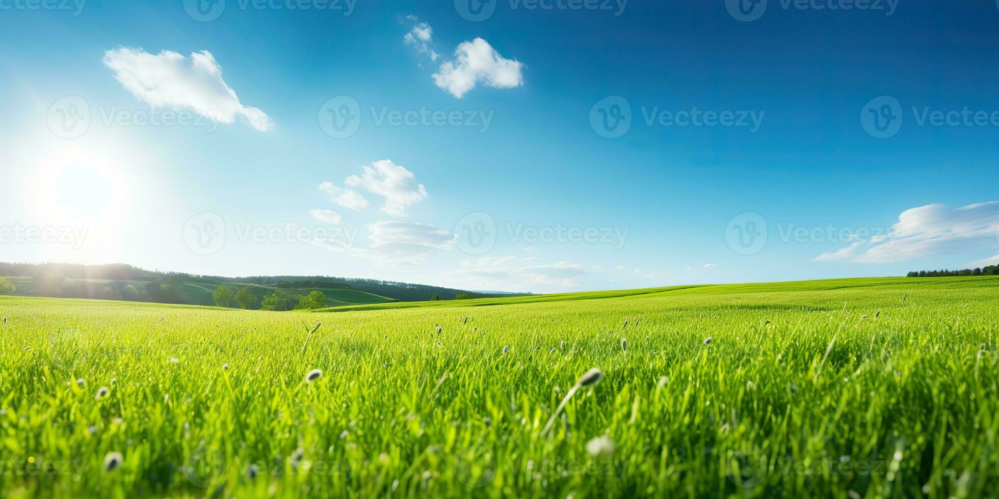 AI Generated. AI Generative. Green fresh grass field meadow with blue sky horizon background. Mock up inspirational wild outdoor nature. Graphic Art photo