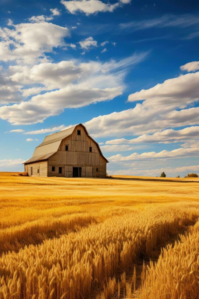 Rustic barn nestled in golden wheat field photo