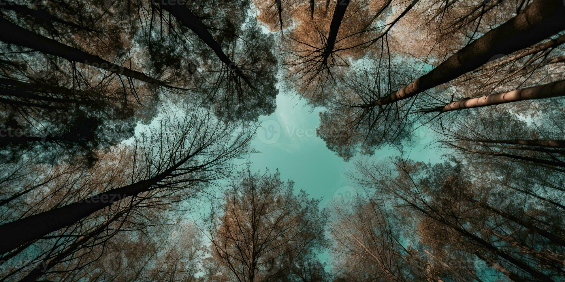 AI Generated. AI Generative. Nature wild outdoor forest trees looking up view with sunny ray. Adventure travel trekking inspiration. Graphic Art photo