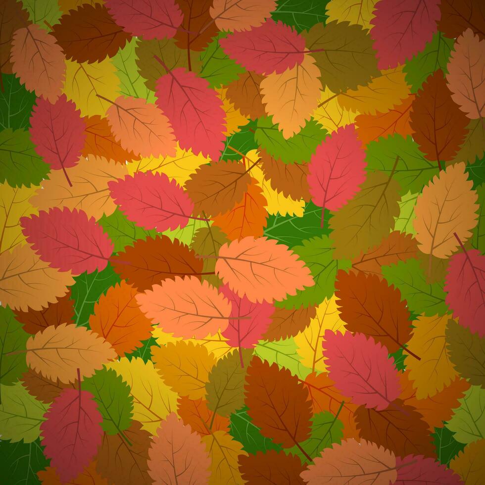 Background with autumn leaves. Vector illustration