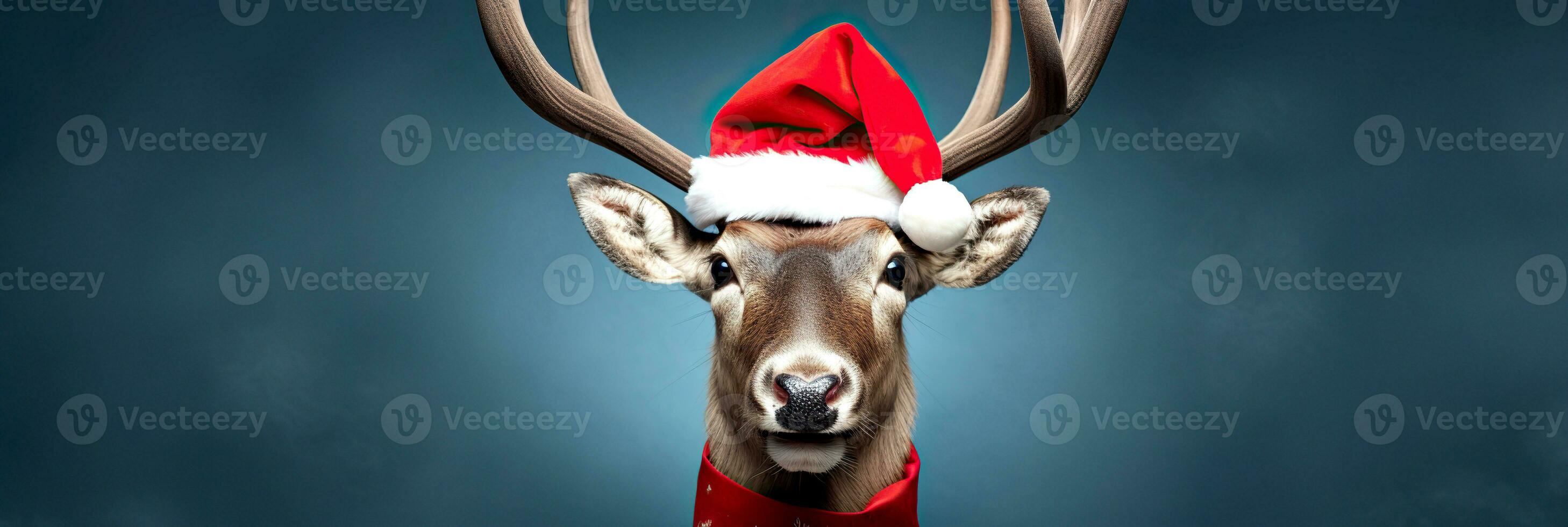 Christmas, holidays and people concept - close up of reindeer in santa hat over blue background. photo