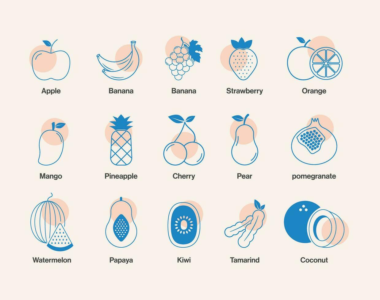 Set of fruits icon vector