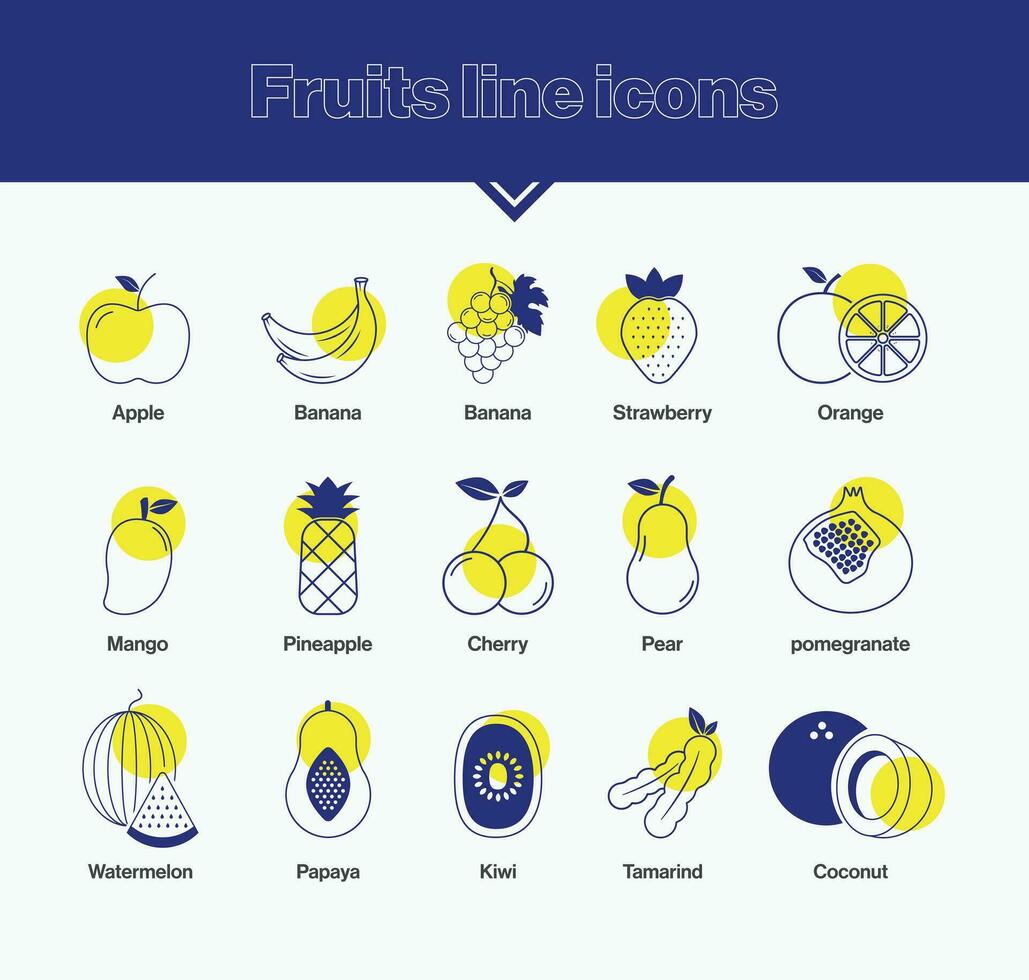 Set of fruits icon vector