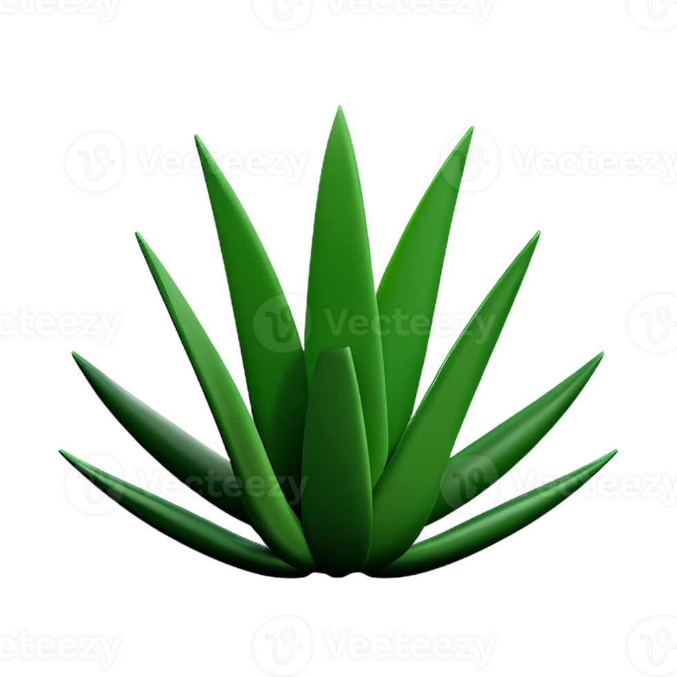 aloe vera 3d rendering icon illustration png
