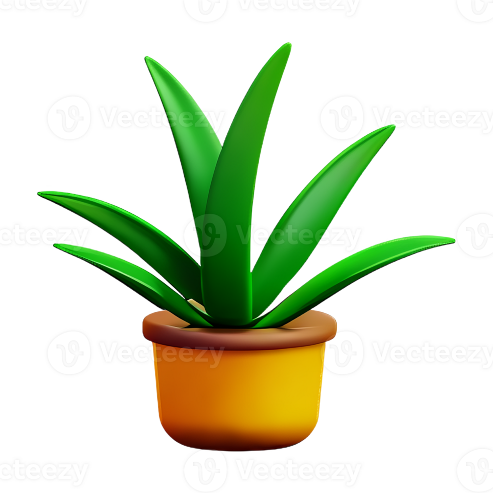 aloe vera 3d rendering icon illustration png