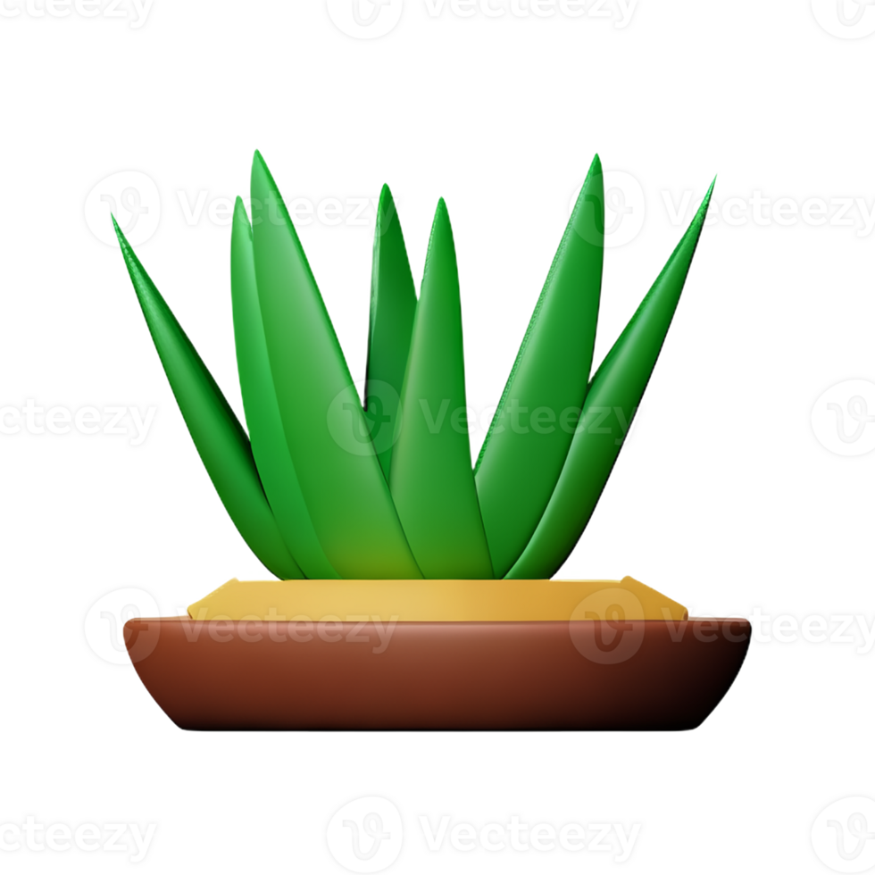 aloe vera 3d rendering icon illustration png