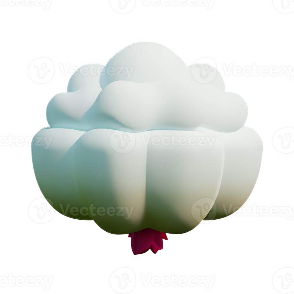 carnation 3d rendering icon illustration png