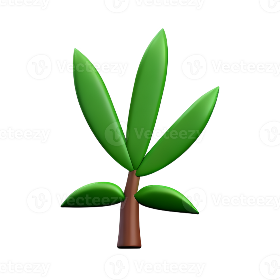fern 3d rendering icon illustration png