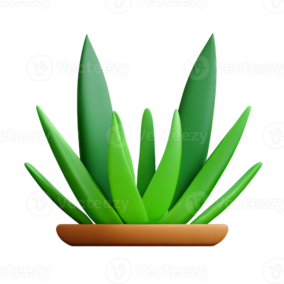 aloe vera 3d rendering icon illustration png