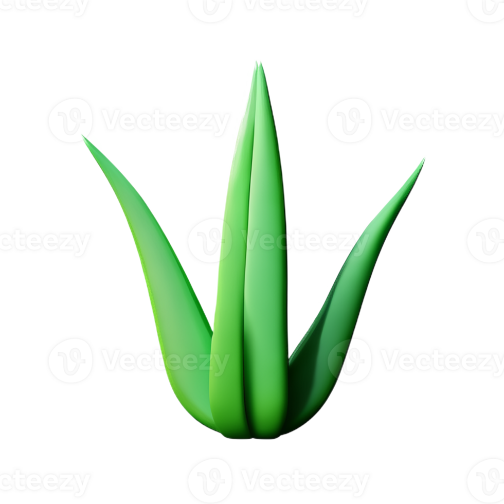 aloe vera 3d rendering icon illustration png