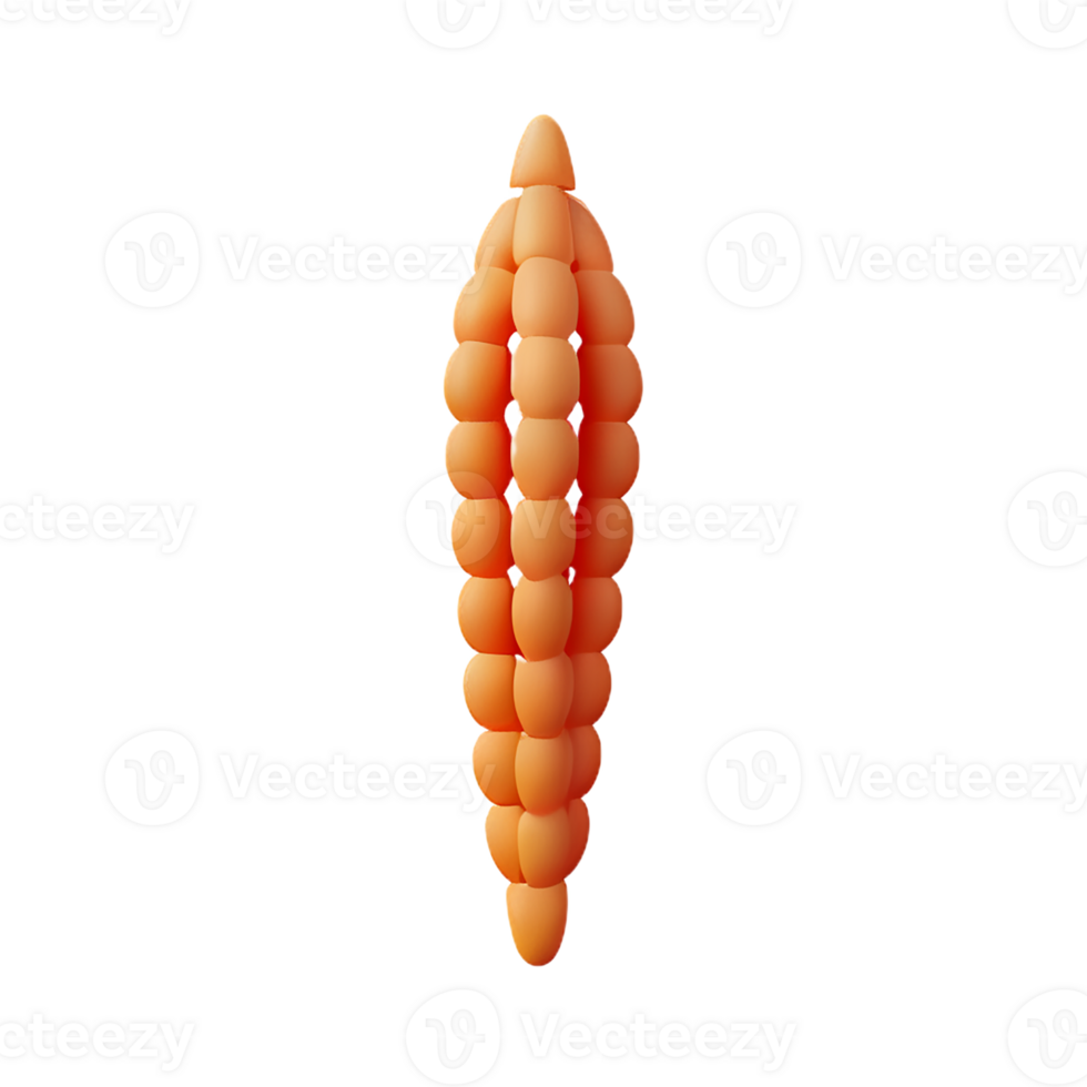 grain 3d rendering icon illustration png