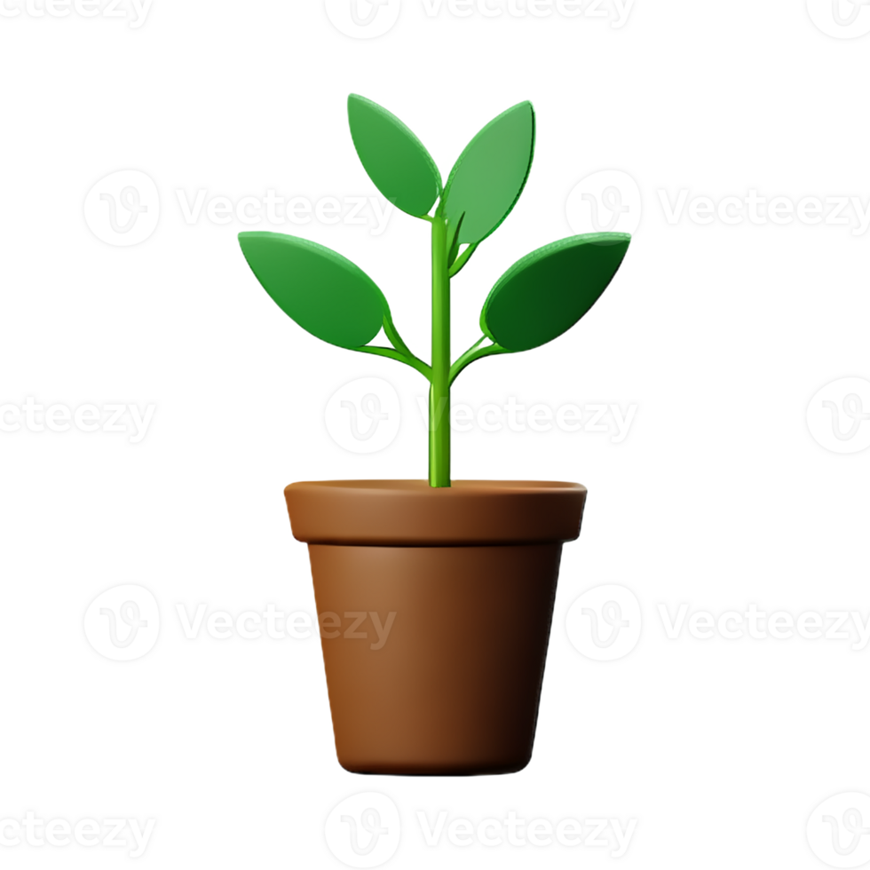 potted plants 3d rendering icon illustration png
