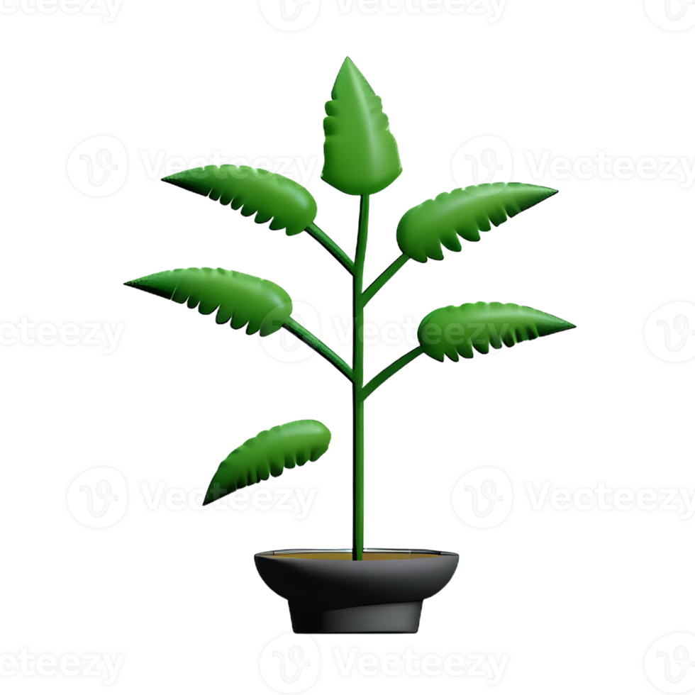 fern 3d rendering icon illustration png