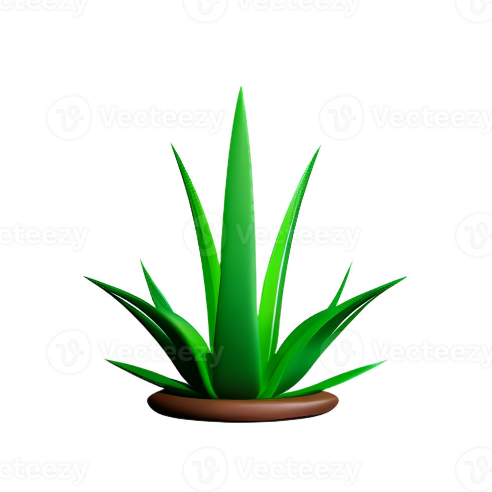 aloe vera 3d rendering icon illustration png