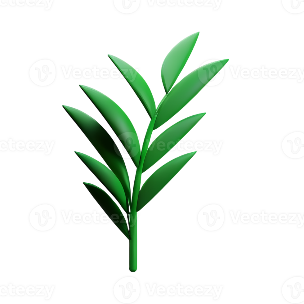 fern 3d rendering icon illustration png