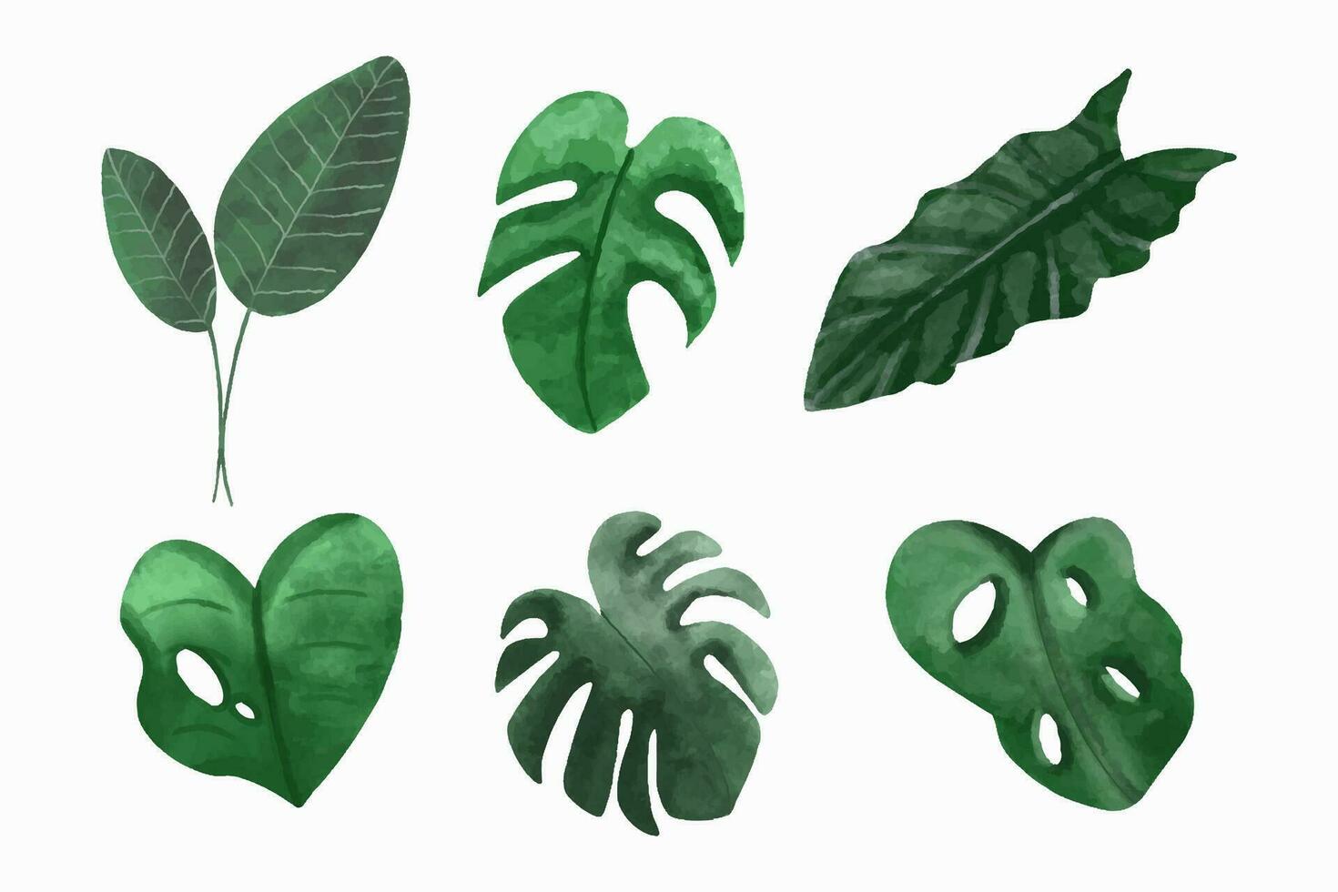 Tropical Leaves Collection vector