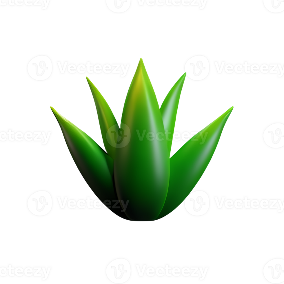 aloe vera 3d rendering icon illustration png