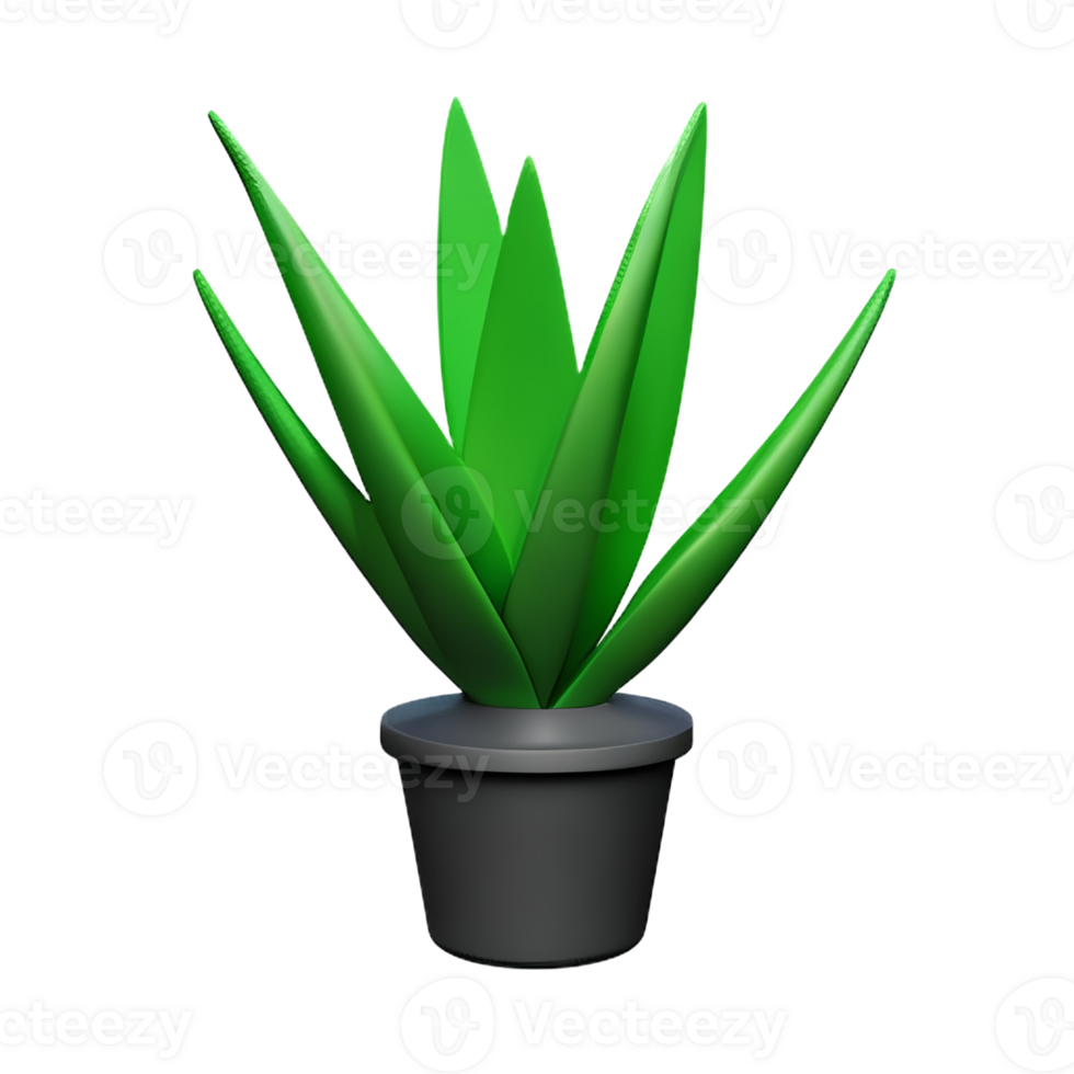 aloe vera 3d rendering icon illustration png