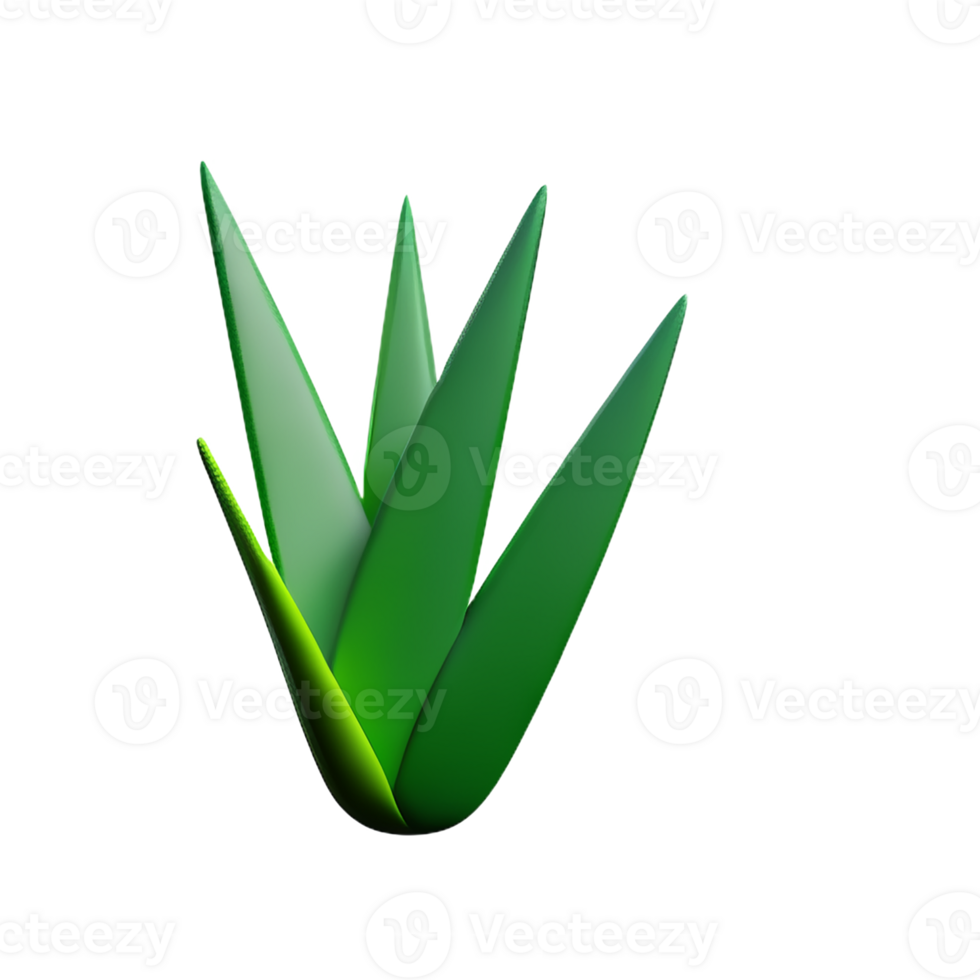 aloe vera 3d rendering icon illustration png