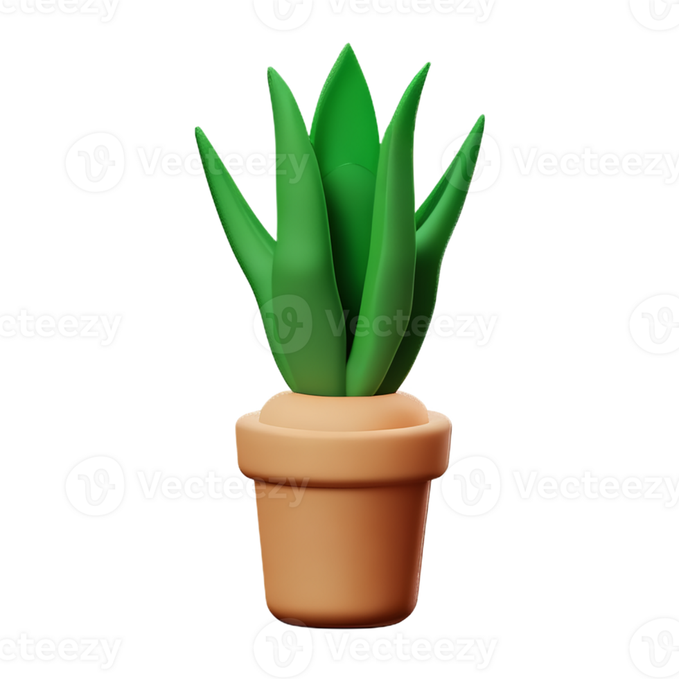 aloe vera 3d rendering icon illustration png