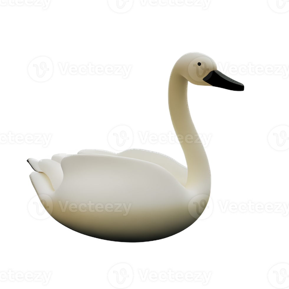 swan 3d rendering icon illustration png