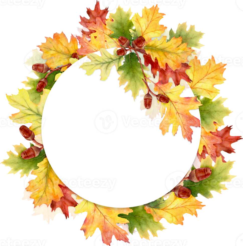 Watercolor autumn leaves and branches with a round frame png