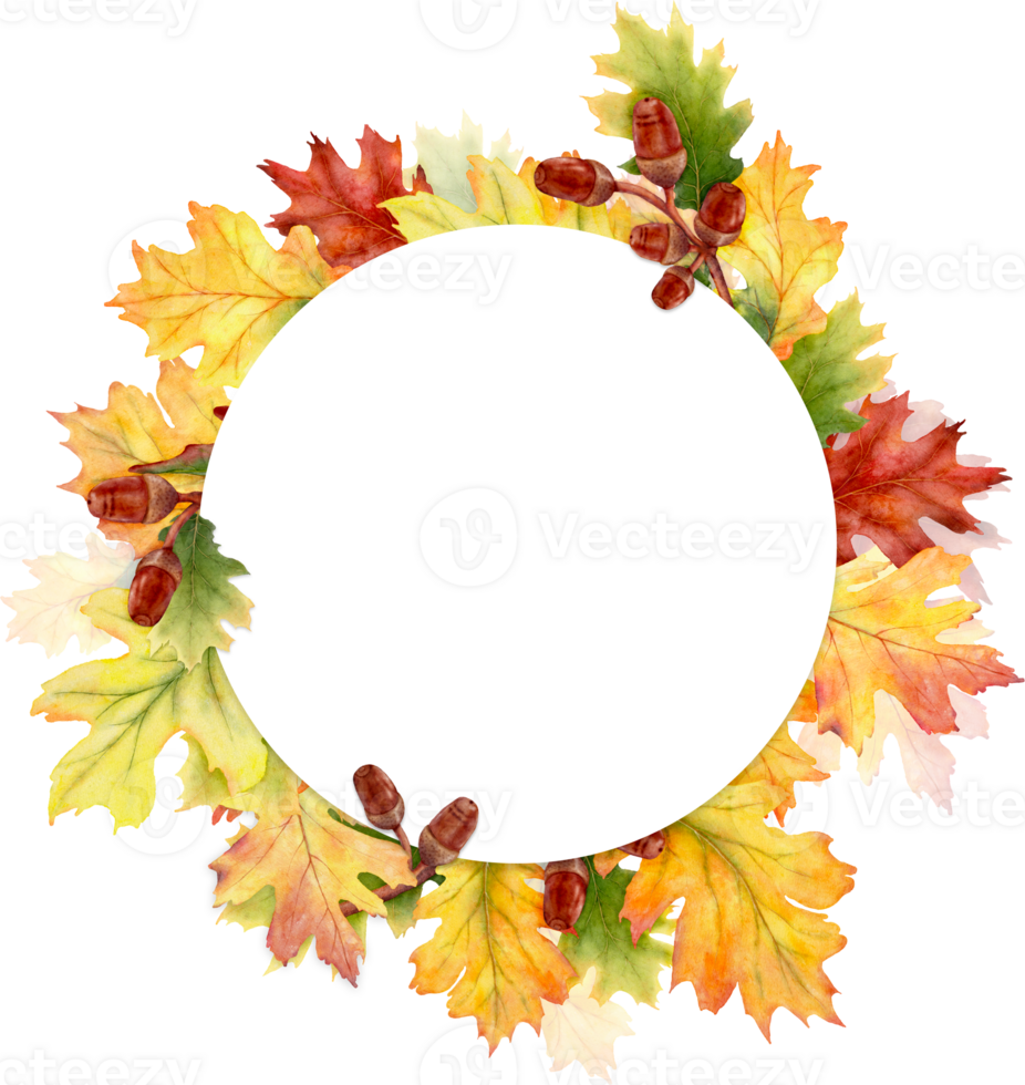 Watercolor autumn leaves and branches with a round frame png