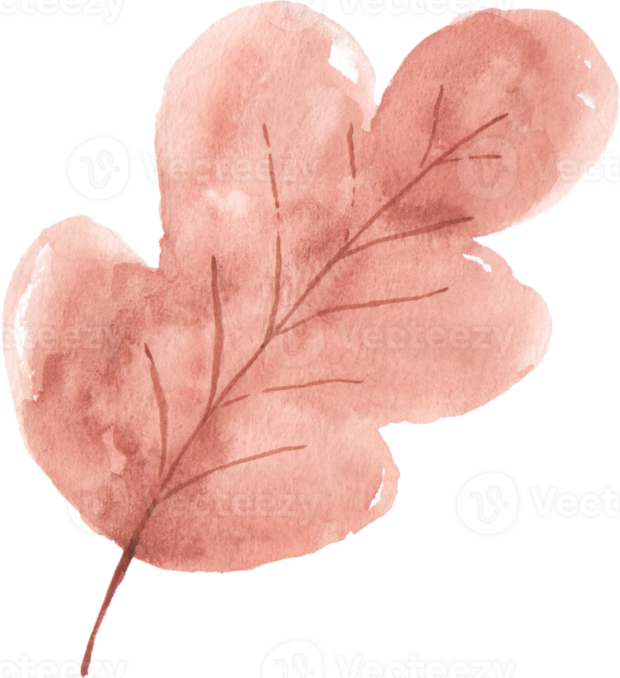 Watercolor Autumn Leaf png