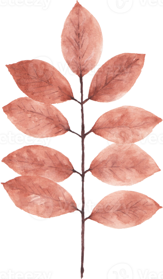 Watercolor Autumn leaves png