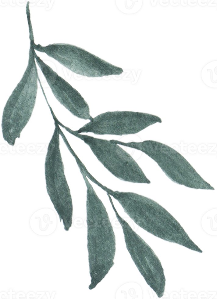 Watercolor Green leaves png