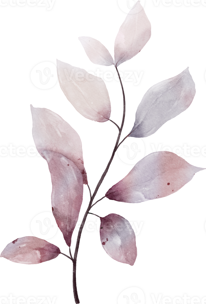 Watercolor Leaves Element png