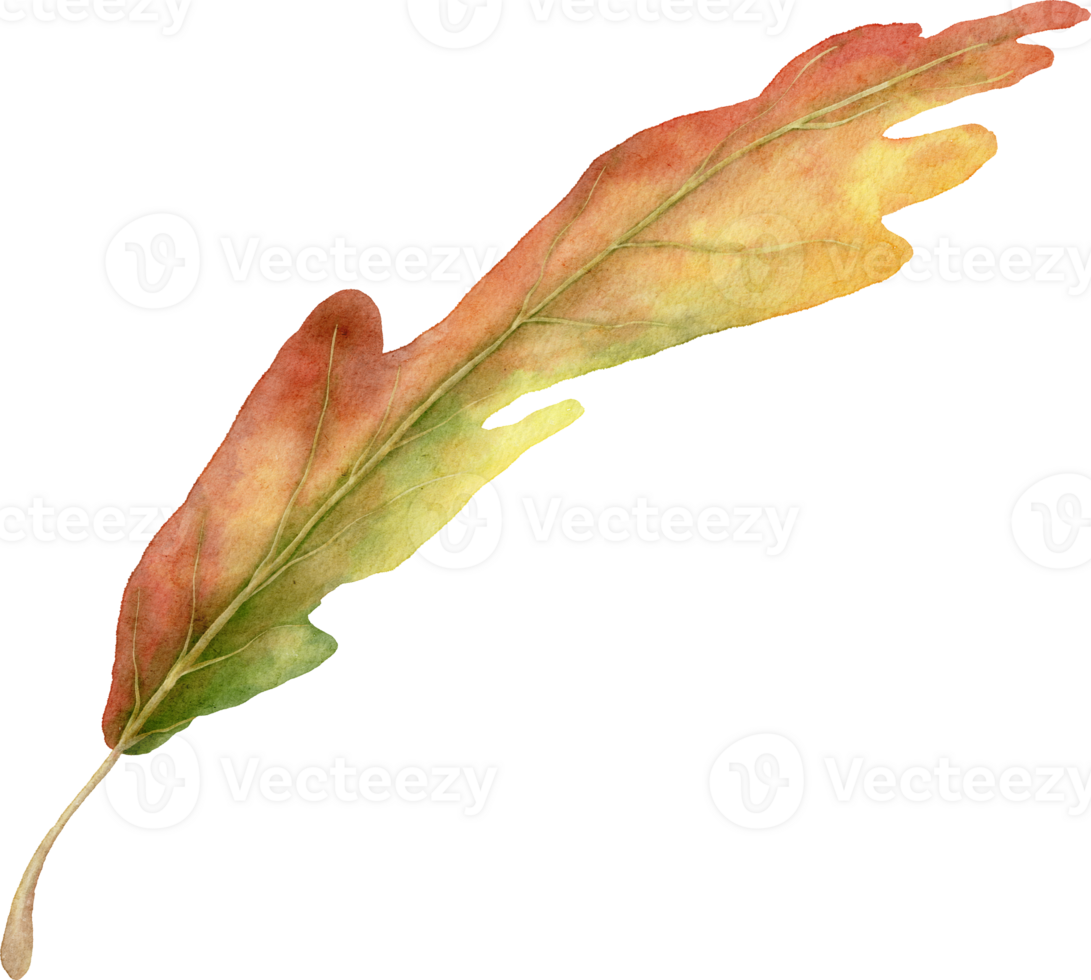 Autumn Leaves Watercolor png