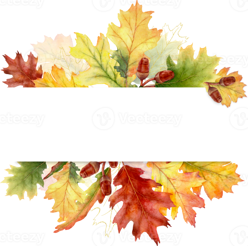 Watercolor autumn leaves and branches with a frame png