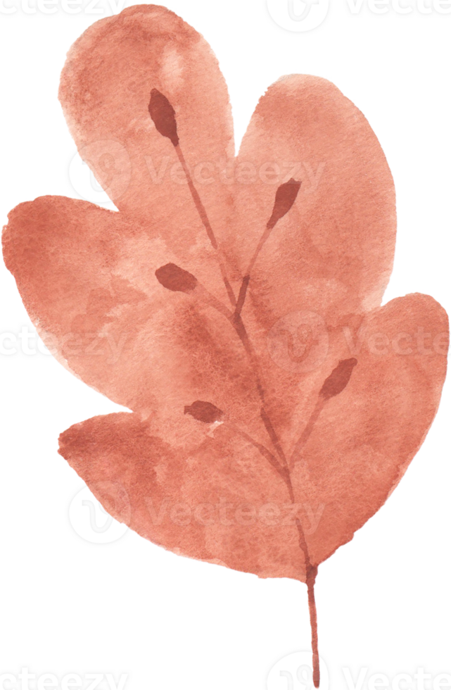 Watercolor Autumn Leaf png