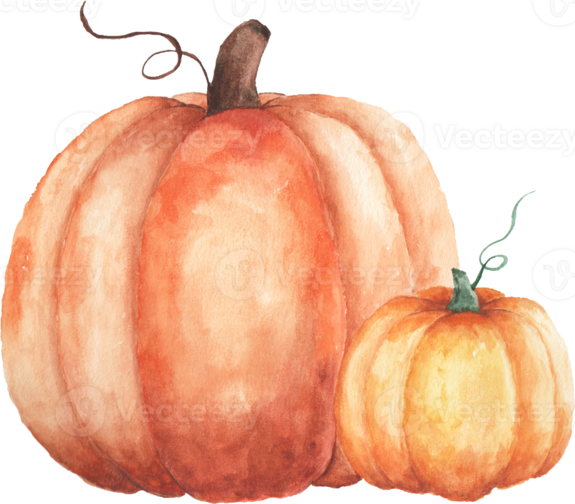 Orange Pumpkin Watercolor png