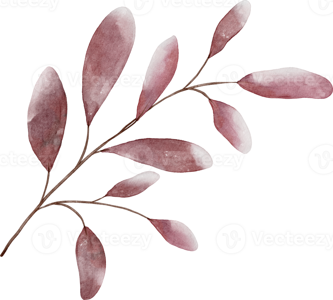 Watercolor Leaves Element png