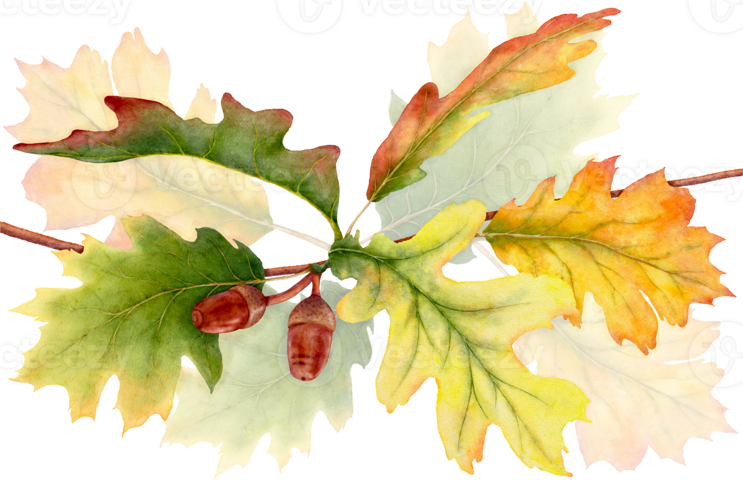 Watercolor leaves and branches in the autumn season png