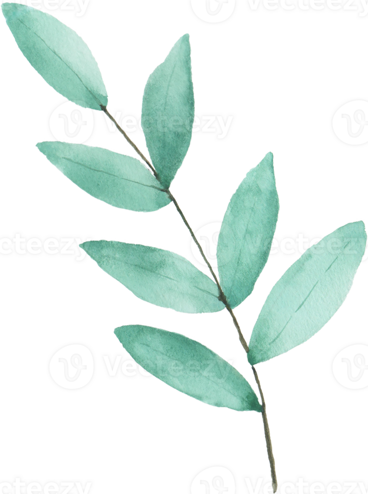 Watercolor Green leaves png