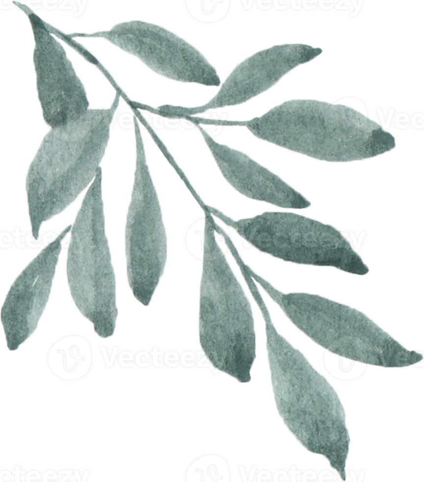 Watercolor Green leaves png