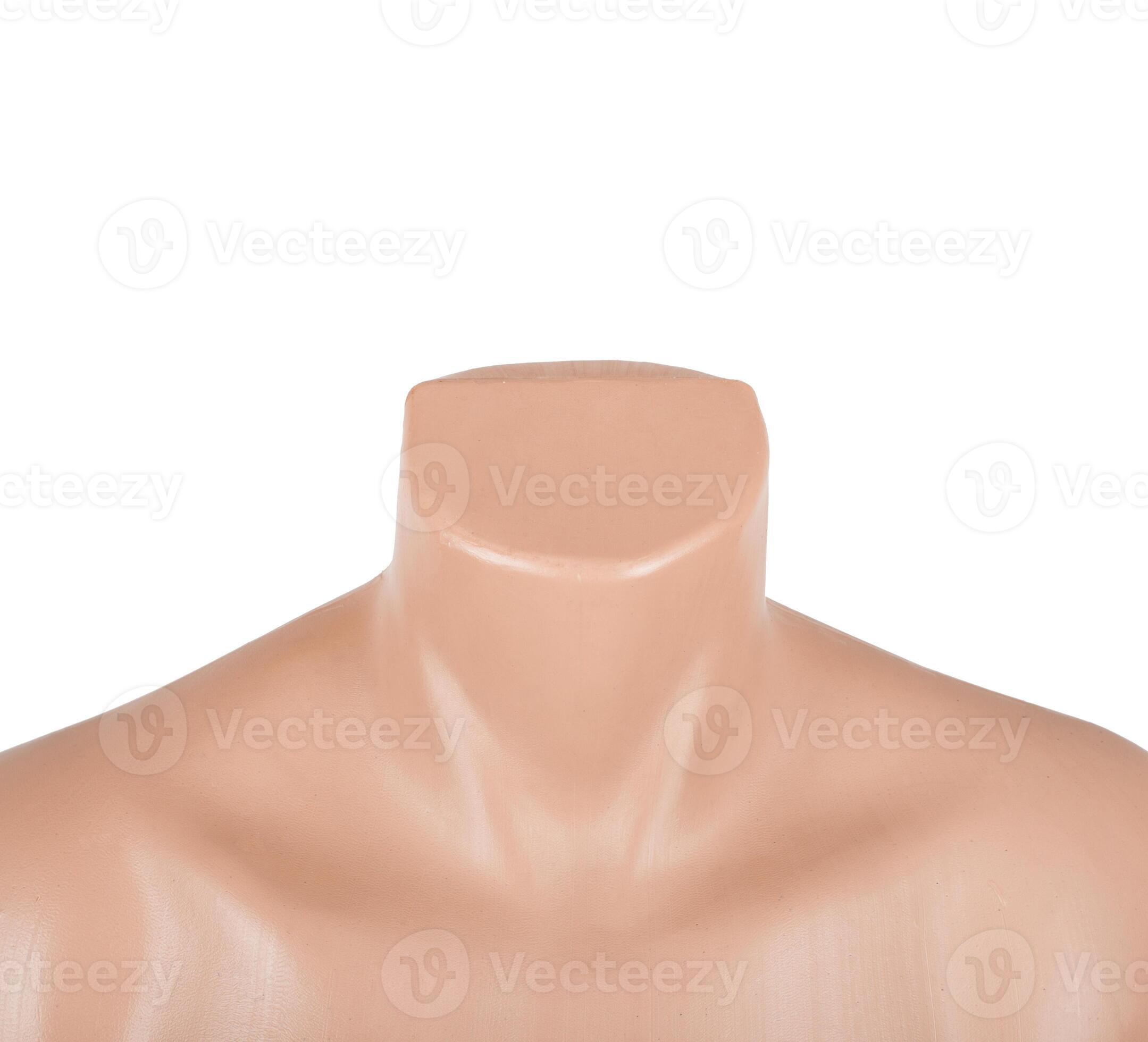 Isolated Mannequin or Dummy 29438608 Stock Photo at Vecteezy