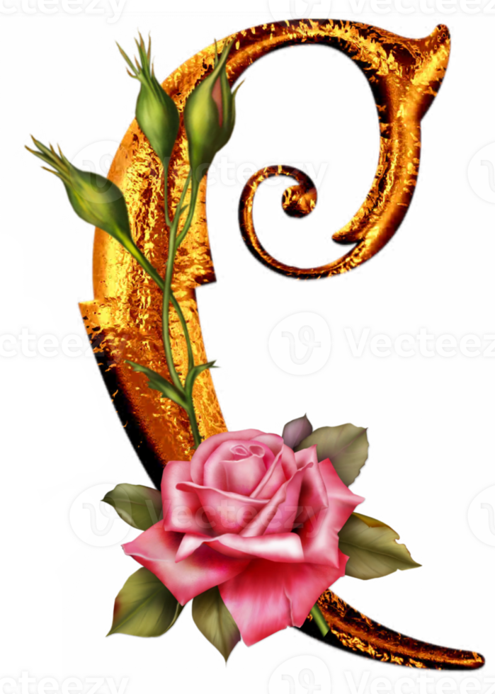 Floral golden alphabet png