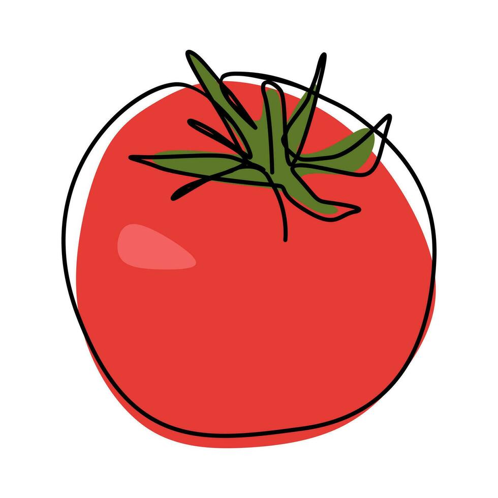 tomato in continuous single line drawing style. colorful vector illustration.