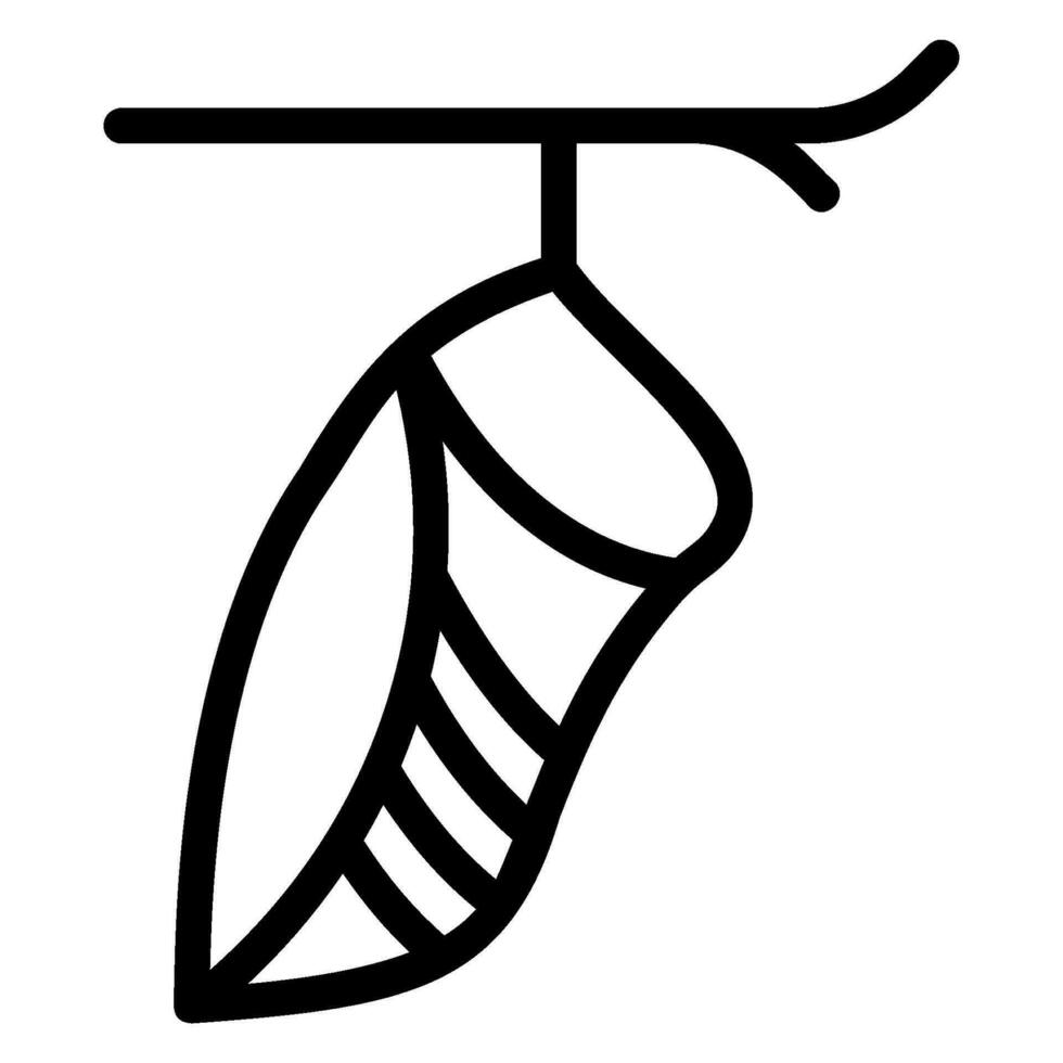 chrysalid line icon vector