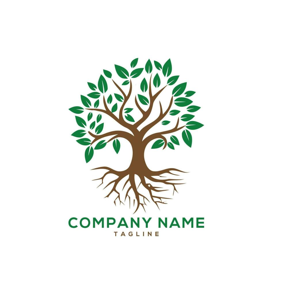 tree health logo designs vector