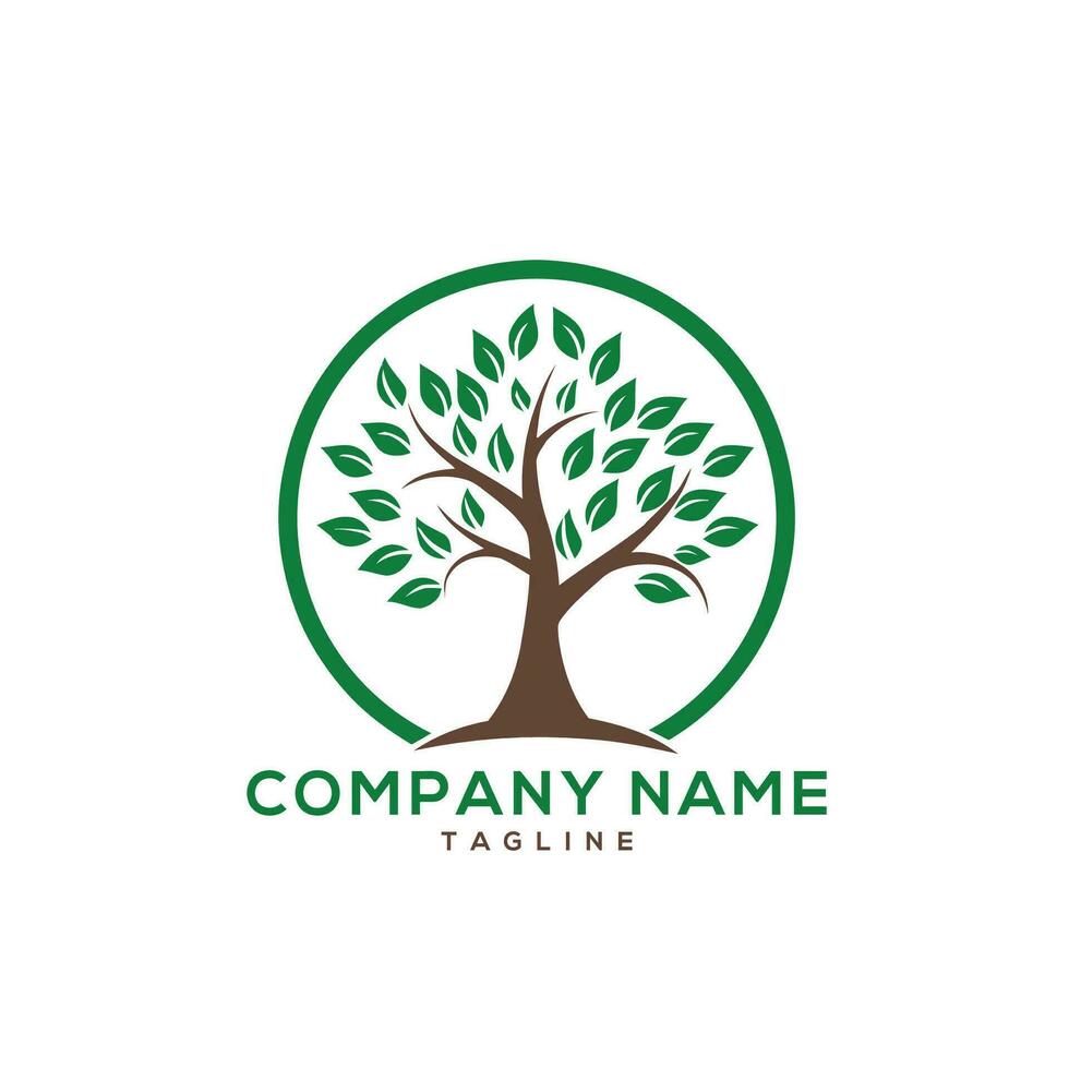 tree health logo designs vector