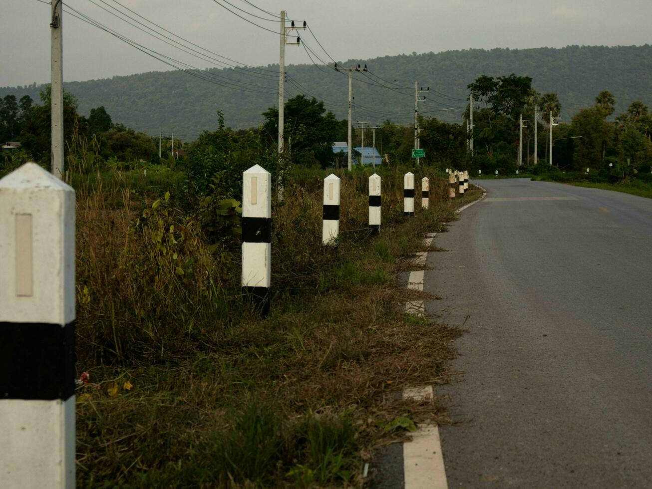 Evening country road with electricity poles photo